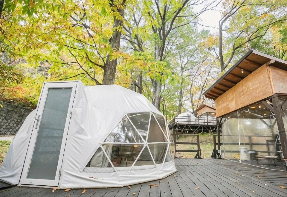 Dome Tent (Chocolate)