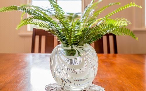 Ithaca Three-Bedroom House