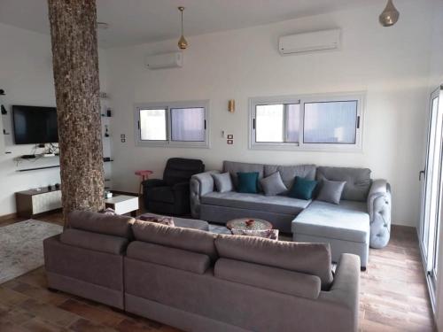 别墅（带独立泳池）