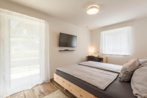 高级两卧室公寓