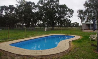 a large blue swimming pool surrounded by grass and trees , with a fence surrounding the area at Deniliquin Pioneer Tourist Park