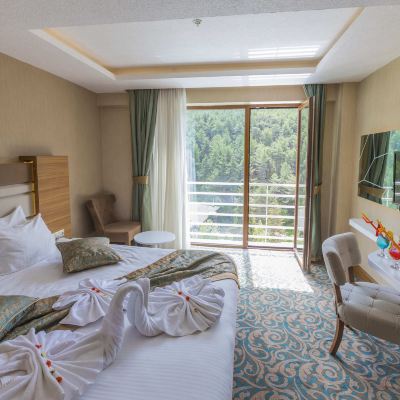 Junior Suite Cam Thermal Resort Spa Convention Center Promo Code