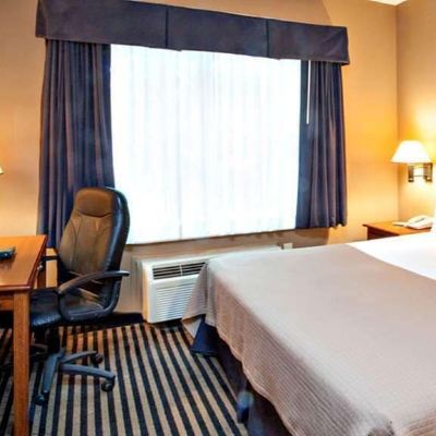 Deluxe Suite, 1 King Bed With Sofa Bed, Non Smoking, Refrigerator & Microwave Mountain Inn & Suites Promo Code