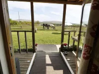 View the Gallery