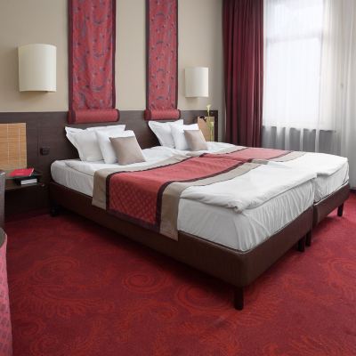 Standard Double or Twin Room with Balcony Rubin Wellness & Conference Hotel Promo Code
