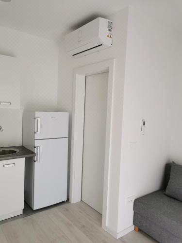 带露台一室公寓