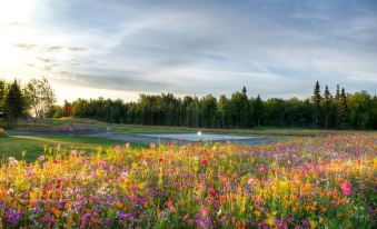 a vast field of flowers with a small pond in the foreground , surrounded by trees and a cloudy sky at The Cannery Lodge