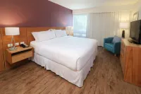 Staybridge Suites GUADALAJARA EXPO by IHG Hotels in 