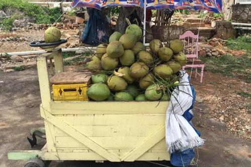 两卧室联排别墅