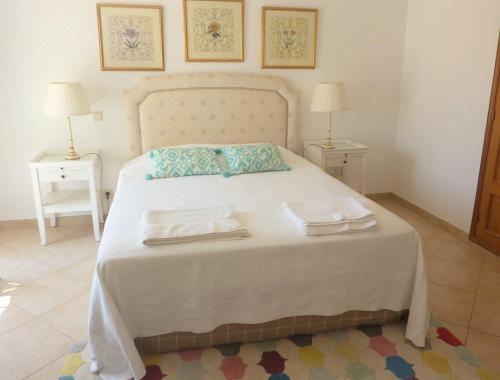 别墅（带独立泳池）