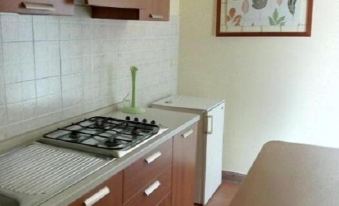 Gecko's House - Housity