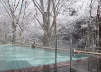 Tsuruya Ryokan