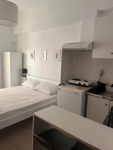 带露台一室公寓