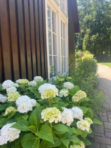 带露台的双人房