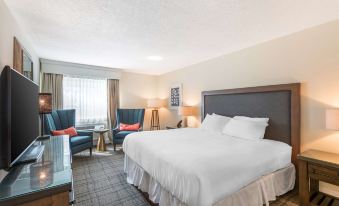 Best Western Plus University Park Inn & Suites - Housity