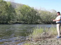 Getaway and relax! Enjoy the James River with mountain views! Hôtels à : Comte de Botetourt