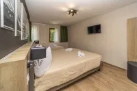 Hotel Petit Palais Hotels in 