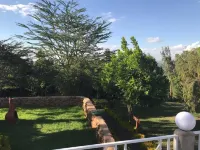 Jari Inn Bistro Ξενοδοχεία στην πόλη 