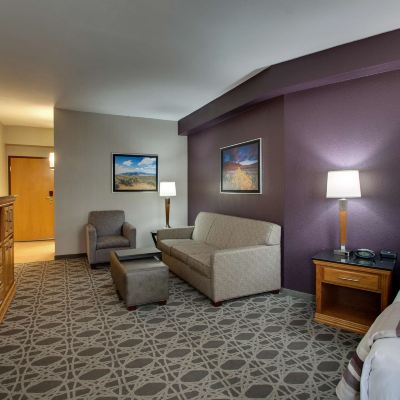 Superior King Room With Sofa Bed Drury Inn & Suites Albuquerque North Promo Code