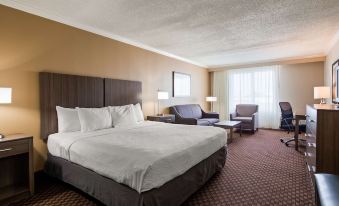 Best Western Ocean City Hotel  Suites