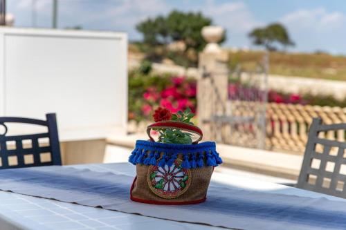 高级一卧室公寓