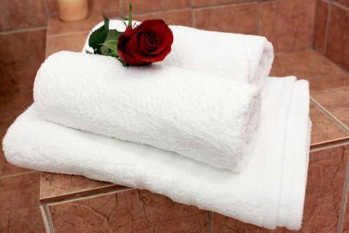 带园景一室公寓