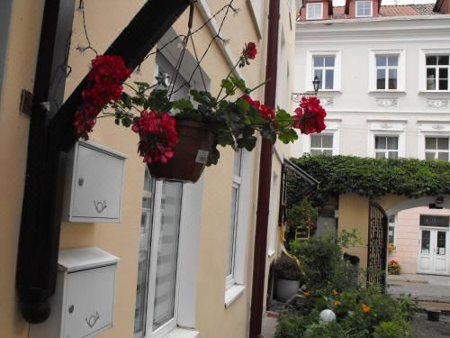 高级公寓（带桑拿浴室）