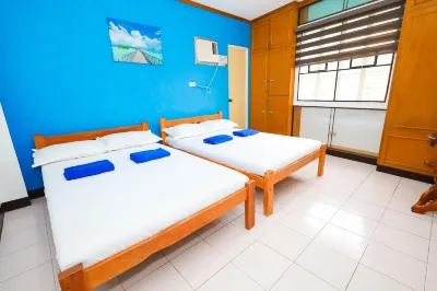 Mayon Backpackers Hostel Hotele w: 