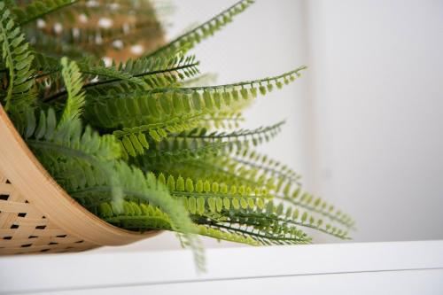 公寓 - 地面楼层