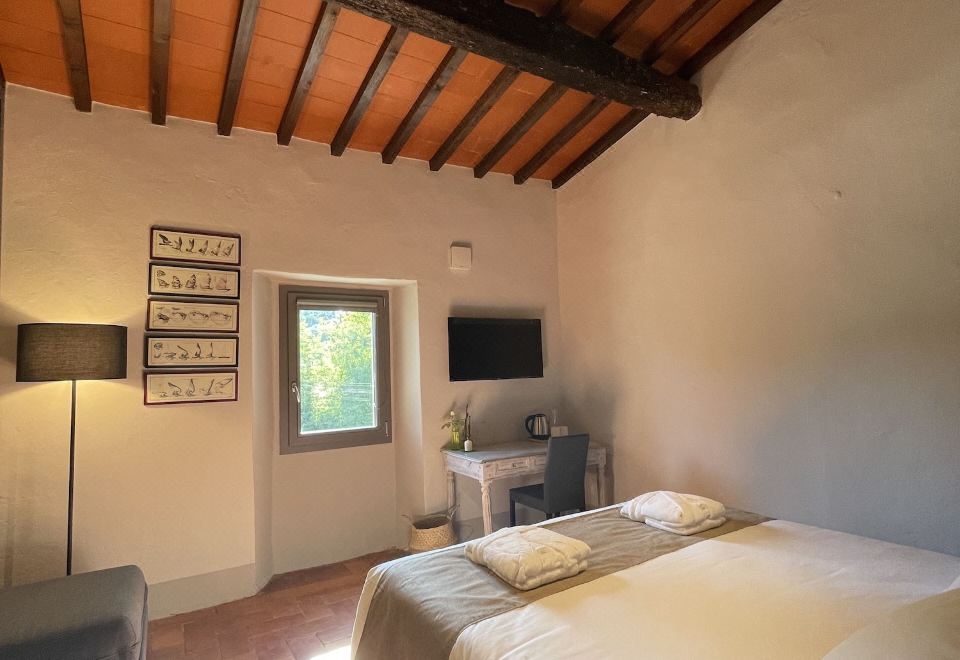 豪华双人或双床房