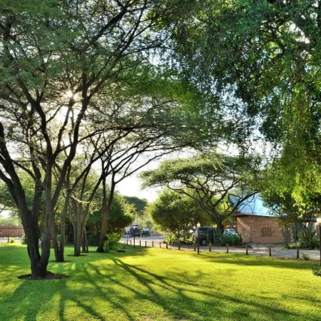 Thebe River Safaris