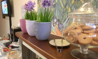 Bed & Breakfast Girasole - Housity