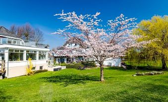 HofHotel Krähenberg - Housity