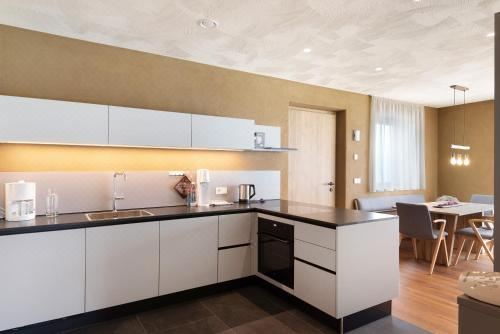 高级两卧室公寓