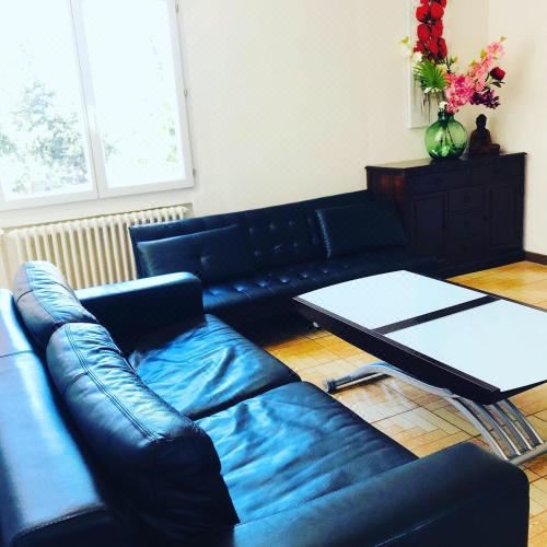 Appartement la Perle Noire Apartment with Terrace