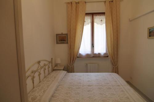 两卧室房子-底楼