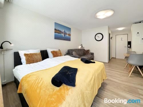 带园景一室公寓