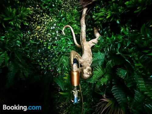 Appartement Jungle Chic Pour Couple Avec Parking Centre de N?mesOne-Bedroom Apartment