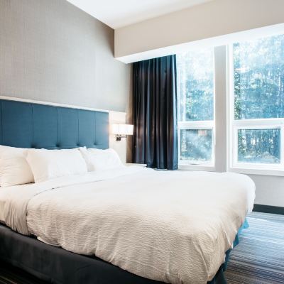 King Family Suite with Fireplace-Not Pet Friendly Mountaineer Lodge Promo Code