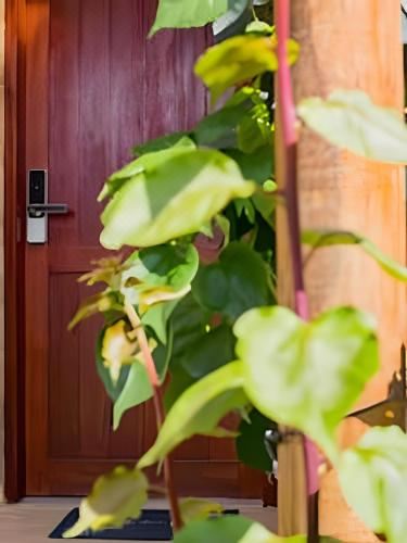 Manga Verde Milagres One-Bedroom Bungalow