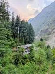 The Woods - Tirthan Valley