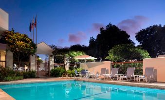 a large outdoor pool surrounded by chairs and umbrellas , with trees in the background at Four Points by Sheraton - San Francisco Bay Bridge