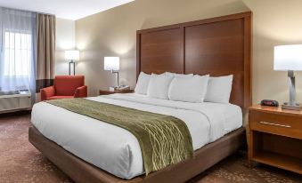 Comfort Inn Okemos - East Lansing