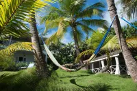 Eco Lifestyle & Lodge Hotels in 