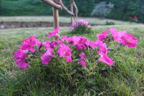 三人房-无障碍通道