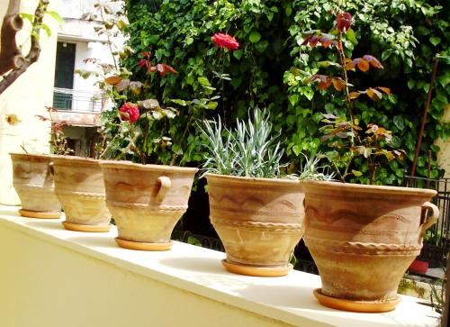 豪华双人或双床房（带阳台）