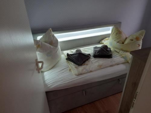 高级两卧室公寓