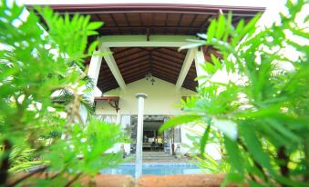 Ruins Chaaya Hotel - Housity