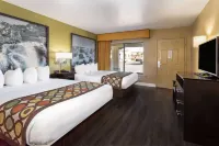 Super 8 by Wyndham Nau/Downtown Conference Center