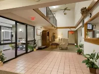 Super 8 by Wyndham Harrison AR Hotels in Harrison
